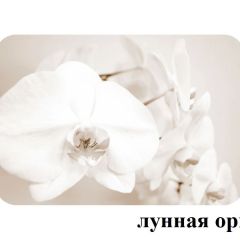 БОСТОН опоры Брифинг в Глазове - glazov.mebel24.online | фото 18