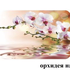 БОСТОН опоры Брифинг в Глазове - glazov.mebel24.online | фото 21