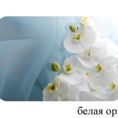 БОСТОН опоры Триумф в Глазове - glazov.mebel24.online | фото 13