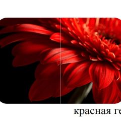 БОСТОН опоры Триумф в Глазове - glazov.mebel24.online | фото 27