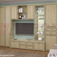 Гостиная Карина Композиция 21 (Гикори Джексон светлый) в Глазове - glazov.mebel24.online | фото 6