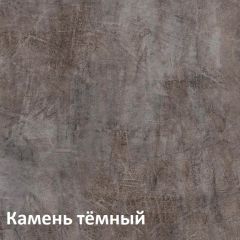 Крафт Полка для обуви 15.63 в Глазове - glazov.mebel24.online | фото 4