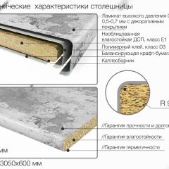 Кухонный фартук со столешницей (А-01) в едином стиле (3050 мм) в Глазове - glazov.mebel24.online | фото 6