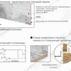 Кухонный фартук со столешницей (А-01) в едином стиле (3050 мм) в Глазове - glazov.mebel24.online | фото 7