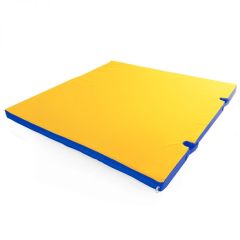 Мат гимнастический 1х1х0,05м с вырезом под стойки цв. синий-желтый в Глазове - glazov.mebel24.online | фото