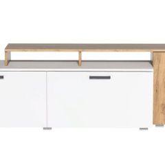 Гостиная Эльза (модульная) Дуб Крафт Золотой/Белый в Глазове - glazov.mebel24.online | фото 4