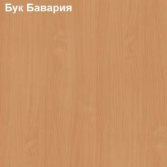 Надставка к столу компьютерному низкая Логика Л-5.1 в Глазове - glazov.mebel24.online | фото 2