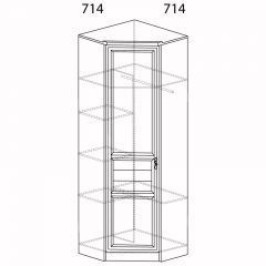 Шкаф угловой Лира №57 Дуб нортон темный в Глазове - glazov.mebel24.online | фото 2