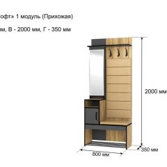 ОЛЬГА-ЛОФТ 1 Прихожая в Глазове - glazov.mebel24.online | фото 4