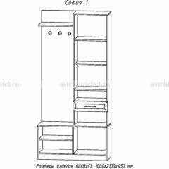 Прихожая София 1 в Глазове - glazov.mebel24.online | фото 3