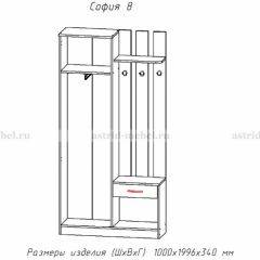 Прихожая София 8 в Глазове - glazov.mebel24.online | фото 2