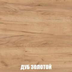 Шкаф 2-х створчатый МСП-1 (Дуб Золотой/Камень темный) в Глазове - glazov.mebel24.online | фото 4
