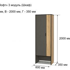 ОЛЬГА-ЛОФТ 3 Шкаф 2-х створчатый в Глазове - glazov.mebel24.online | фото 4