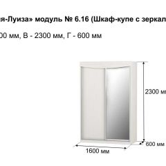 Шкаф-купе 1600 с зеркалом "Мария-Луиза 6.16" в Глазове - glazov.mebel24.online | фото 4
