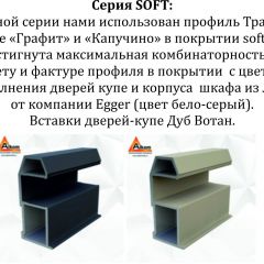 Шкаф-купе 1600 серии SOFT D8+D2+B2+PL4 (2 ящика+F обр.штанга) профиль «Графит» в Глазове - glazov.mebel24.online | фото 12