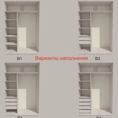 Шкаф-купе 1700 серии SILVER S3+S4+B2+PL4 (2 ящика+F обр.штанга) профиль «Серебро» в Глазове - glazov.mebel24.online | фото 5