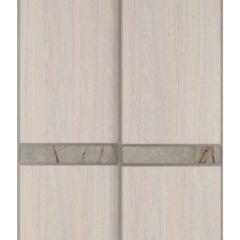 Шкаф-купе 1700 серии SILVER S3+S4+B2+PL4 (2 ящика+F обр.штанга) профиль «Серебро» в Глазове - glazov.mebel24.online | фото 10