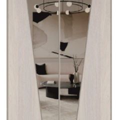 Шкаф-купе 1700 серии SILVER S3+S4+B2+PL4 (2 ящика+F обр.штанга) профиль «Серебро» в Глазове - glazov.mebel24.online | фото 12