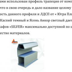Шкаф-купе 1700 серии SILVER S5+S5+B2+PL3 (2 ящика+2 штанги) профиль «Серебро» в Глазове - glazov.mebel24.online | фото 4