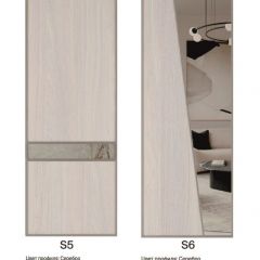 Шкаф-купе 1700 серии SILVER S5+S5+B2+PL3 (2 ящика+2 штанги) профиль «Серебро» в Глазове - glazov.mebel24.online | фото 11