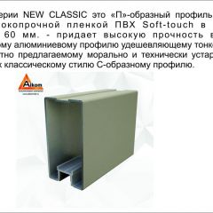 Шкаф-купе 2150 серии NEW CLASSIC K6Z+K1+K6+B22+PL2(по 2 ящика лев/прав+1 штанга+1 полка) профиль «Капучино» в Глазове - glazov.mebel24.online | фото 17