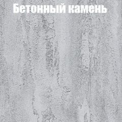 Шкаф-купе Бассо 1.0 (Дуб Крафт серый/Бетонный камень) 2 двери ЛДСП 2 зеркальные вставки в Глазове - glazov.mebel24.online | фото 3