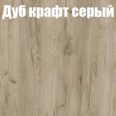 Шкаф-купе Бассо 1.0 (Дуб Крафт серый/Бетонный камень) 2 двери ЛДСП 2 зеркальные вставки в Глазове - glazov.mebel24.online | фото 4