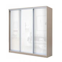 Шкаф-купе ХИТ 22-18/2-888 (620) в Глазове - glazov.mebel24.online | фото 7