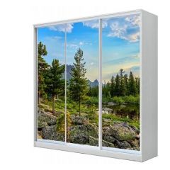 Шкаф-купе ХИТ 22-18-777 (620) в Глазове - glazov.mebel24.online | фото