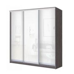 Шкаф-купе ХИТ 23-18-888 (620) в Глазове - glazov.mebel24.online | фото 1