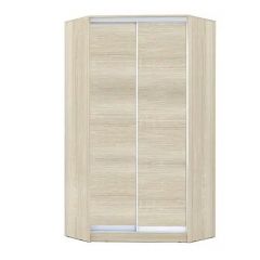 Шкаф-купе ХИТ-У-L-22-64-11 в Глазове - glazov.mebel24.online | фото 7
