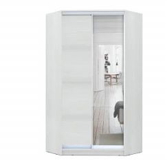 Шкаф-купе ХИТ-У-R-24-64-15 в Глазове - glazov.mebel24.online | фото