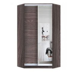 Шкаф-купе ХИТ-У-R-24-64-15 в Глазове - glazov.mebel24.online | фото 11