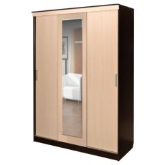 Шкаф-купе ПШ-1.3 М 1630 в Глазове - glazov.mebel24.online | фото