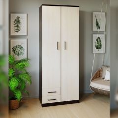 Шкаф распашной ПШ-3.9 в Глазове - glazov.mebel24.online | фото 3