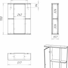 Шкаф-зеркало Норма 2-50 левый АЙСБЕРГ (DA1607HZ) в Глазове - glazov.mebel24.online | фото 10