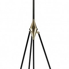 Светильник на штанге Lightstar Modena 816047 в Глазове - glazov.mebel24.online | фото