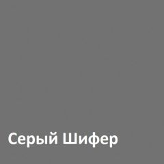 Юнона Шкаф торцевой 13.221 в Глазове - glazov.mebel24.online | фото 2