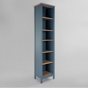 2.08.07.100.16 САГА стеллаж 50 темно-бирюзовый/ясень RU в Глазове - glazov.mebel24.online | фото