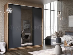 АЛЬЯНС Шкаф-купе 2,0 в Глазове - glazov.mebel24.online | фото