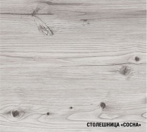 АСАЯ Кухонный гарнитур Макси 2 (1800 мм) ПМ в Глазове - glazov.mebel24.online | фото 8