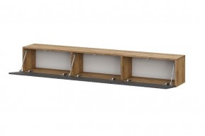 БАЙКАЛ Тумба (Графит/Дуб золотой) в Глазове - glazov.mebel24.online | фото 2