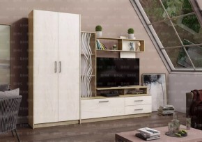ДАРЬЯ Гостиная (Крафт серый/Крафт белый) в Глазове - glazov.mebel24.online | фото