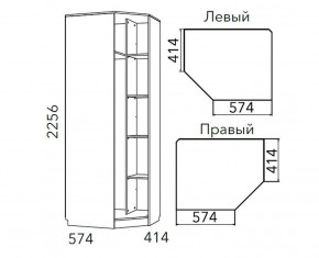 Детская Фанк Шкаф угловой Левый/Правый НМ 013.04-02 М в Глазове - glazov.mebel24.online | фото 3