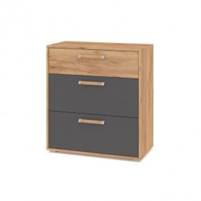 ФЛОРИДА Гостиная (модульная) дуб золотой/графит в Глазове - glazov.mebel24.online | фото 8
