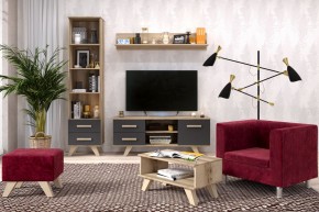 Гостиная Вега Скандинавия (комплект 5) в Глазове - glazov.mebel24.online | фото 2