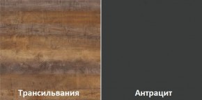Кухонный гарнитур угловой Трансильвания 2600х1600 мм (Стол. 38 мм) в Глазове - glazov.mebel24.online | фото 3