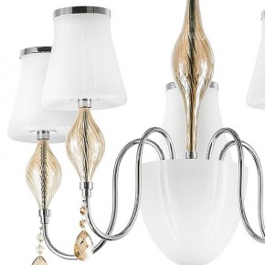 Люстра на штанге Lightstar Escica 806050 в Глазове - glazov.mebel24.online | фото 7