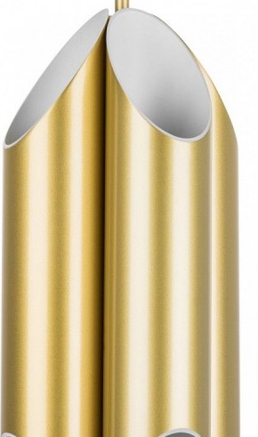 Люстра на штанге Lightstar Siena 720082 в Глазове - glazov.mebel24.online | фото 3