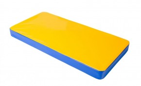 Мат гимнастический 1х0,5х0,08м цв. синий-желтый в Глазове - glazov.mebel24.online | фото